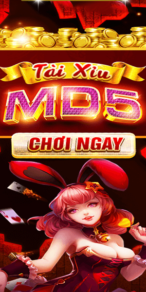 Banner tài xỉu MD5 Socvip